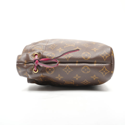 LOUIS VUITTON 2020 Monogram Posh Noe Pouch Brown WS25323