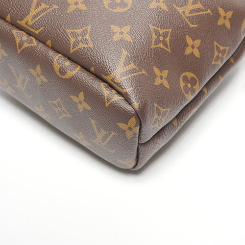 LOUIS VUITTON 2020 Monogram Posh Noe Pouch Brown WS25323