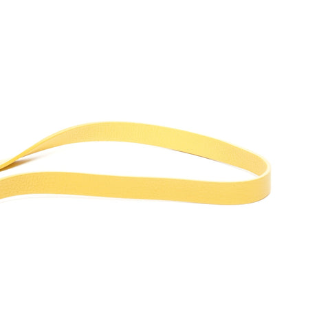 GOYARD Minitiere Trunk Shoulder Bag yellow WS25385