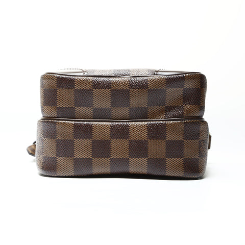 LOUIS VUITTON 2009 Amazon Special Order Shoulder Bag Brown WS25473