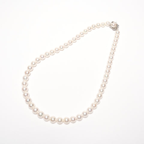 Akoya Pearl Necklace White Gold K14 WG K14 Necklace white WS25576