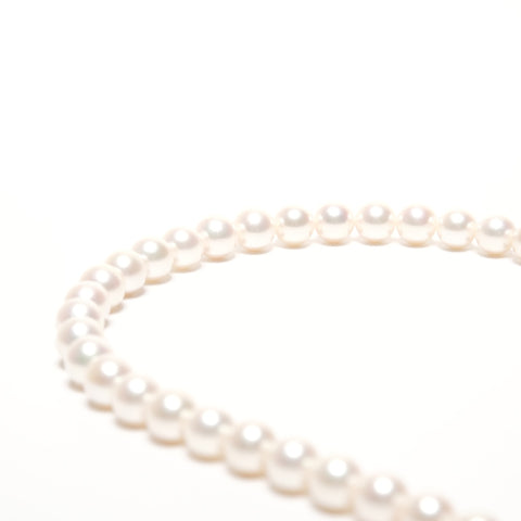 Akoya Pearl Necklace White Gold K14 WG K14 Necklace white WS25576
