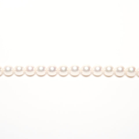 Akoya Pearl Necklace White Gold K14 WG K14 Necklace white WS25576