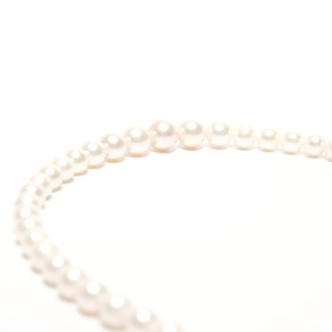 Tasaki Pearl TSASAKI Tasaki Pearl Silver 925 Necklace white WS25577