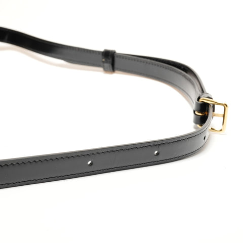 CELINE Teen Triomphe Leather and Shining Calfskin Camera Bag Shoulder Bag black WS26217