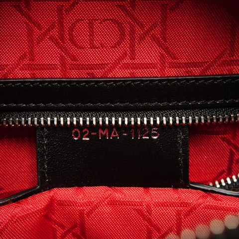 Christian Dior Lady Dior Cannage Stitch 2way Metal Silver Handbag black WS27118