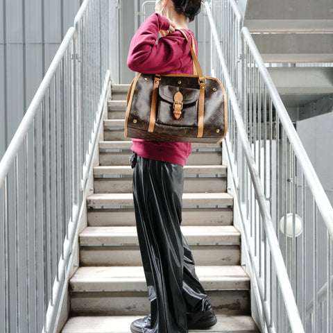 LOUIS VUITTON Sac Baxter GM Monogram Small Dog Carrier Bag, M42028 Shoulder Bag Brown WS27339