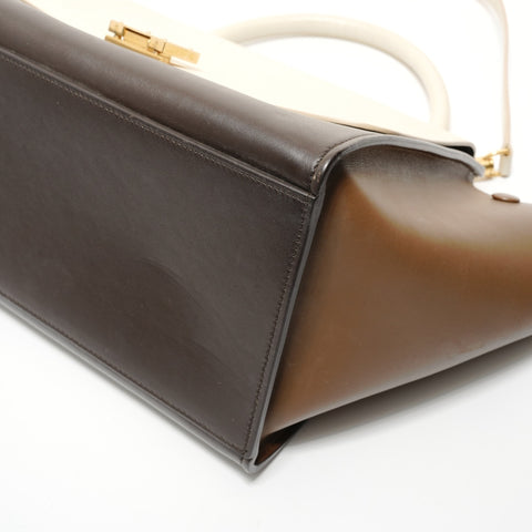 CELINE Trapeze Small 2-Way Leather Handbag multicolor WS28237