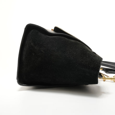 CELINE Trapeze 2-Way Suede Handbag multicolor WS28238