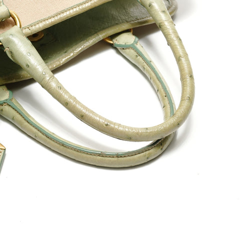 PRADA Ostrich canvas Tote Bag beige WS28852