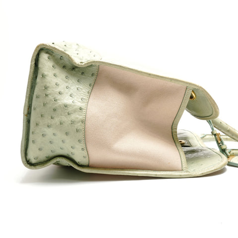 PRADA Ostrich canvas Tote Bag beige WS28852