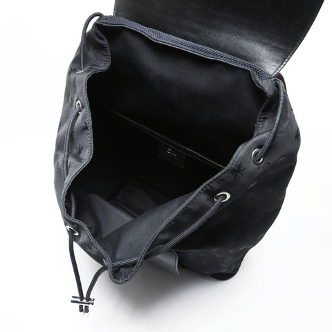 Christian Dior 2018 Dior Homme BEE Backpack  Daypack black WS28991