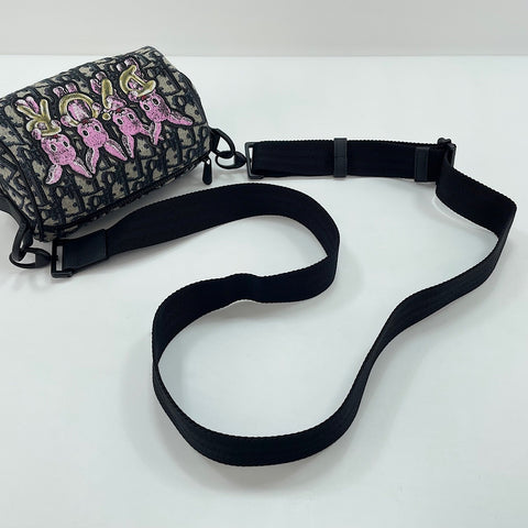 Christian Dior Mini Roller Oblique Umhängetasche mehrfarbig WS30076