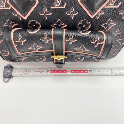 LOUIS VUITTON Speedy Bandoulire 25 Handbag black WS30419