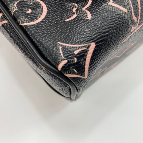 LOUIS VUITTON Speedy Bandoulire 25 Handbag black WS30419