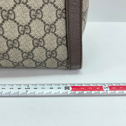GUCCI Ophidia 2WAY Handbag Brown WS30905