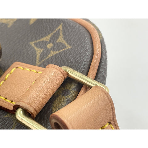 LOUIS VUITTON Exsantricite Handbag Brown WS31647