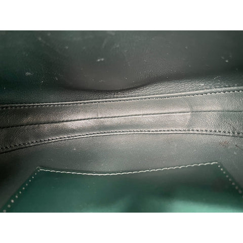 CELINE 16 Seize Buzzace Small Shoulder Bag green WS32021