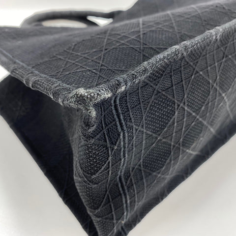 Christian Dior Christian Dior Book Tote Medium Tote Bag canvas black WS32621