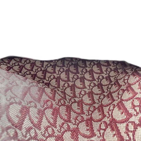 Christian Dior Trotter Tote Bag canvas wine-red WS32837