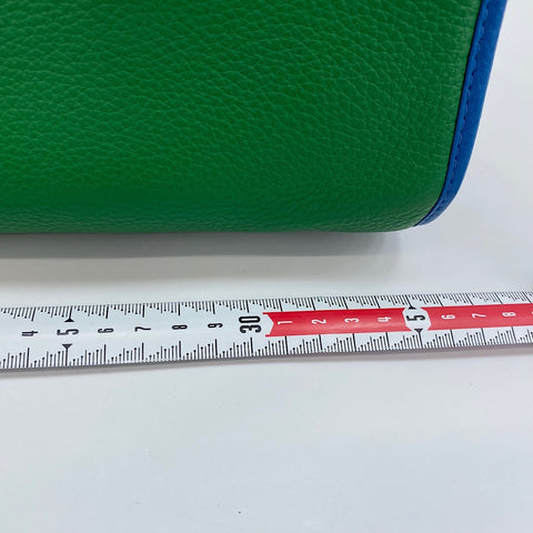 LOEWE Alamo 36 Anagram Bicolor Handbag leather green WS32927
