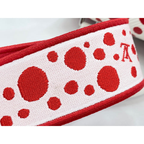 LOUIS VUITTON x Yayoi Kusama Cluny Handbag white WS33008