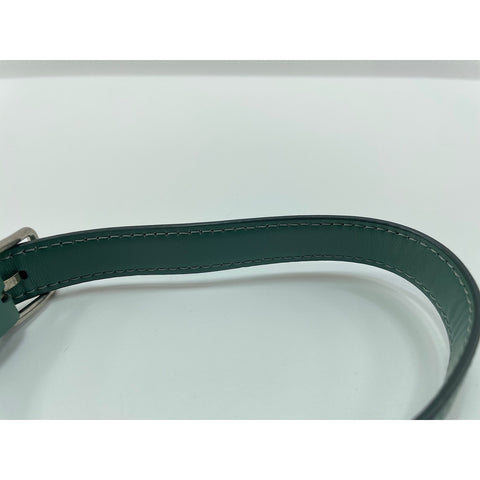 CELINE teen Shoulder Bag leather green WS33219