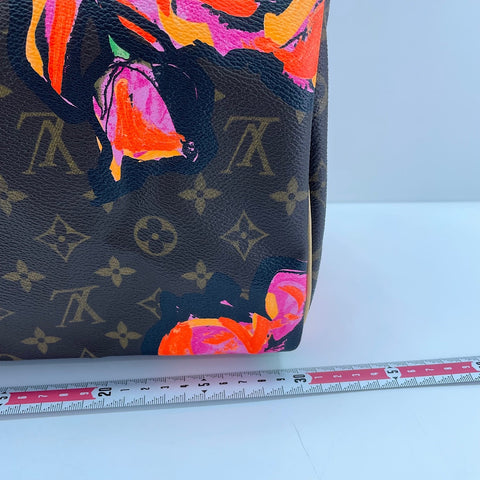 LOUIS VUITTON Speedy 30 Handbag Brown WS33719