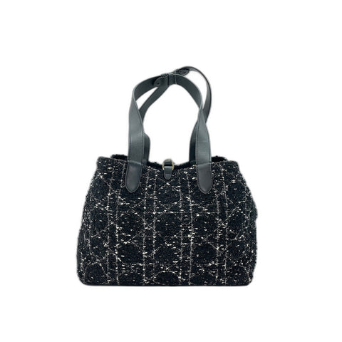 Christian Dior Canage Handbag black WS33973