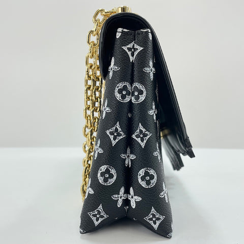 LOUIS VUITTON Cat pochette Shoulder Bag multicolor WS34985