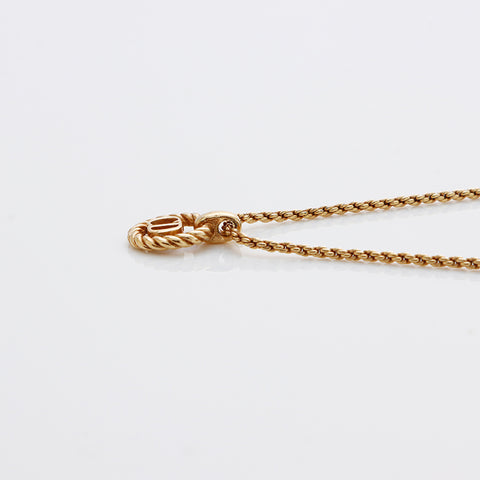 基督教Dior CD徽标项链Gold WS9139
