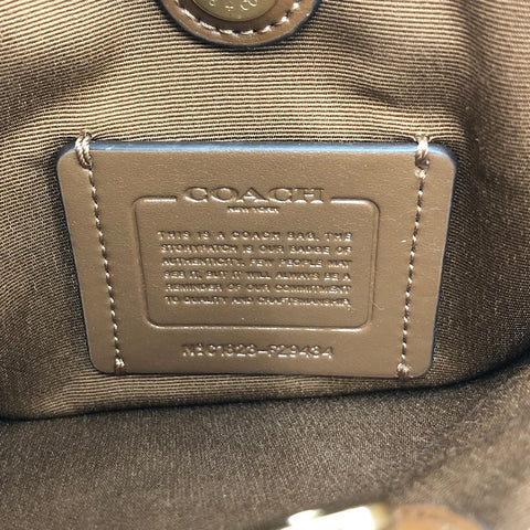 コーチ COACH ミニ セージ キャリーオール 2WAY ハンド チェーン ショルダーバッグ レザー ブラウン T0019