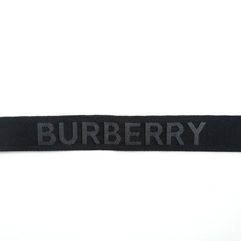 Burberry Burberry Canon Front Logo Westbag Lodetasche Pink P13101