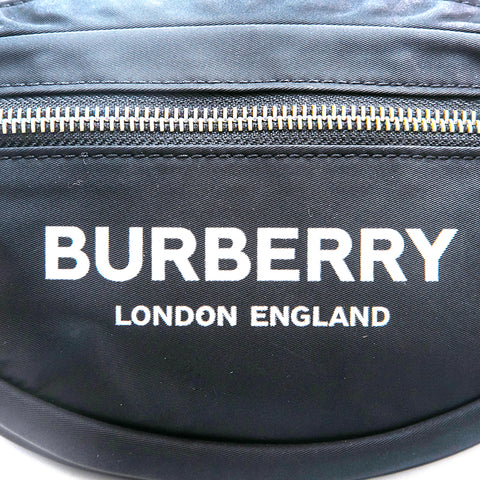Burberry BURBERRY Canon Front Logo West Bag Body Bag Pink P13101