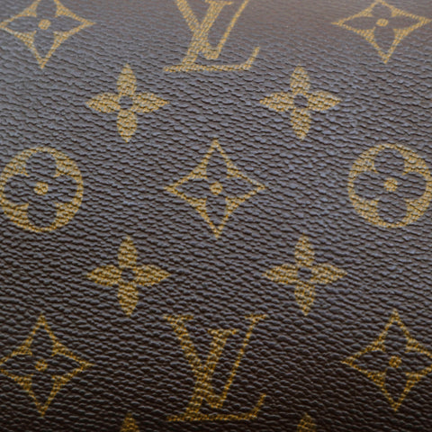 Louis Vuitton Louis Vuitton Monogram AccessWall Handbag Brown